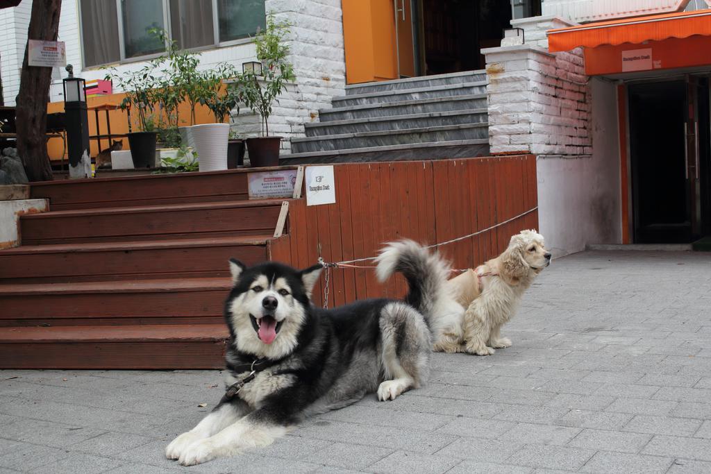 Hongdae Orange Guesthouse Seoul Exterior foto