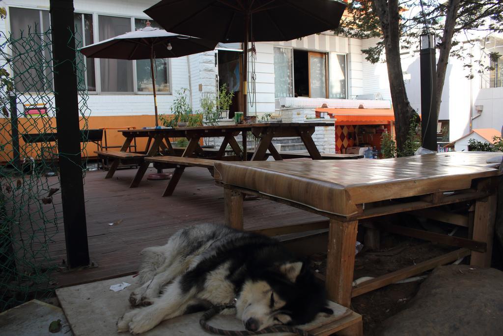 Hongdae Orange Guesthouse Seoul Exterior foto