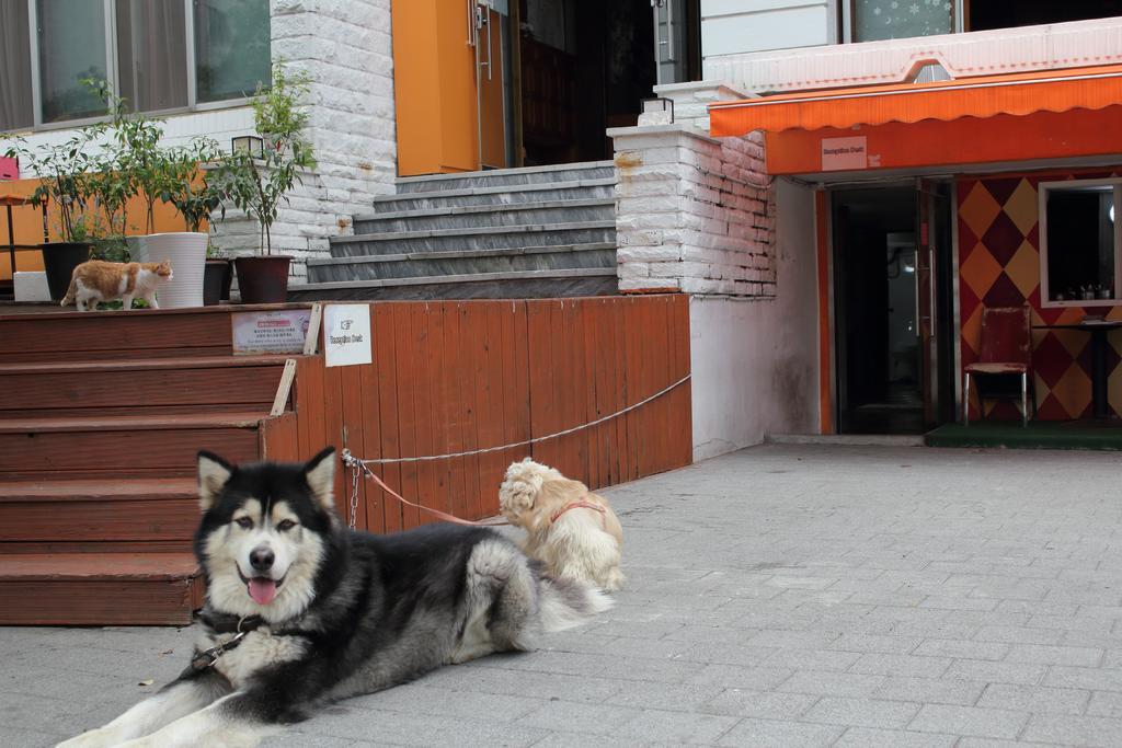 Hongdae Orange Guesthouse Seoul Exterior foto