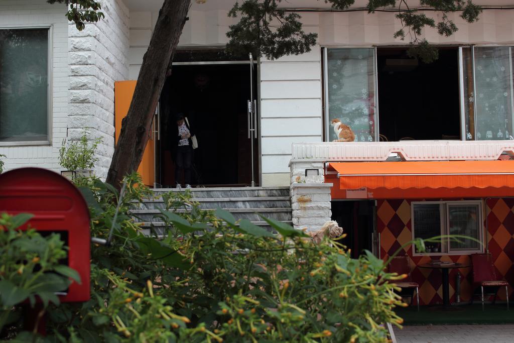 Hongdae Orange Guesthouse Seoul Exterior foto